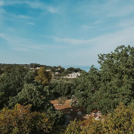 Villa Lisa *